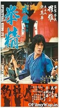 Spiritual Kung Fu 1978 Hindi Dubbed Movie