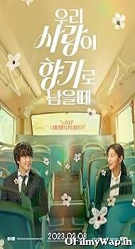Love My Scent 2023 Hindi Dubbed Movie