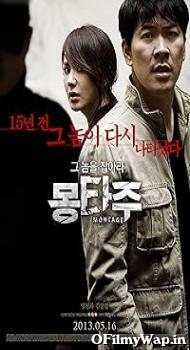 Montage 2013 Esubs Hindi Dubbed Movie