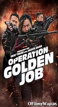Golden Job 2018 Hindi Dubbed Movie
