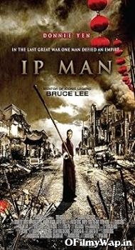 Ip Man 2008 Hindi Dubbed Movie
