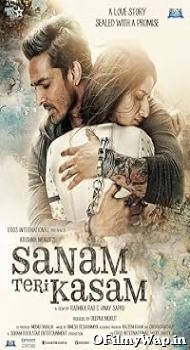 Sanam Teri Kasam 2016 Hindi Movie