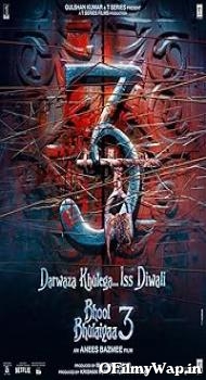 Bhool Bhulaiyaa 3 2024 Hindi Movie