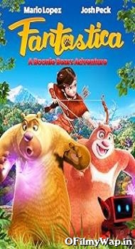Boonie Bears: Entangled Worlds 2017 Hindi Dubbed Movie